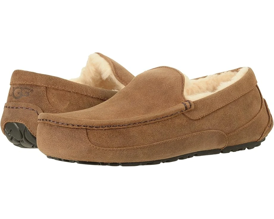 UGG Ascot - WIDE 1 UGG Ascot - WIDE