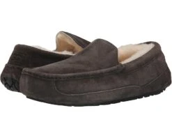 UGG Ascot