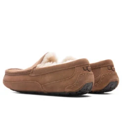 Ugg Ascot Slipper - Chestnut -Ugg Shop UGG Ascot Slipper Chestnut 1101110 CHE 10 30 2021 01 3