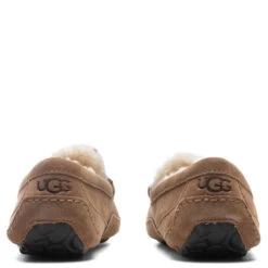 Ugg Ascot Slipper - Chestnut -Ugg Shop UGG Ascot Slipper Chestnut 1101110 CHE 10 30 2021 01 4