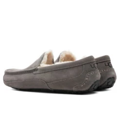 Ugg Ascot Slipper - Grey 6 Ugg Ascot Slipper - Grey -Ugg Shop UGG Ascot Slipper Grey 1101110 GREY 11 16 2021 01 3
