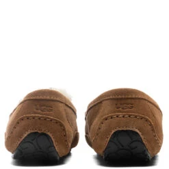 Ugg Kids Ascot Slipper - Chestnut Suede -Ugg Shop UGG Kids Ascot Slipper Chestnut Suede 1120886K CTSD 01 16 2022 01 4
