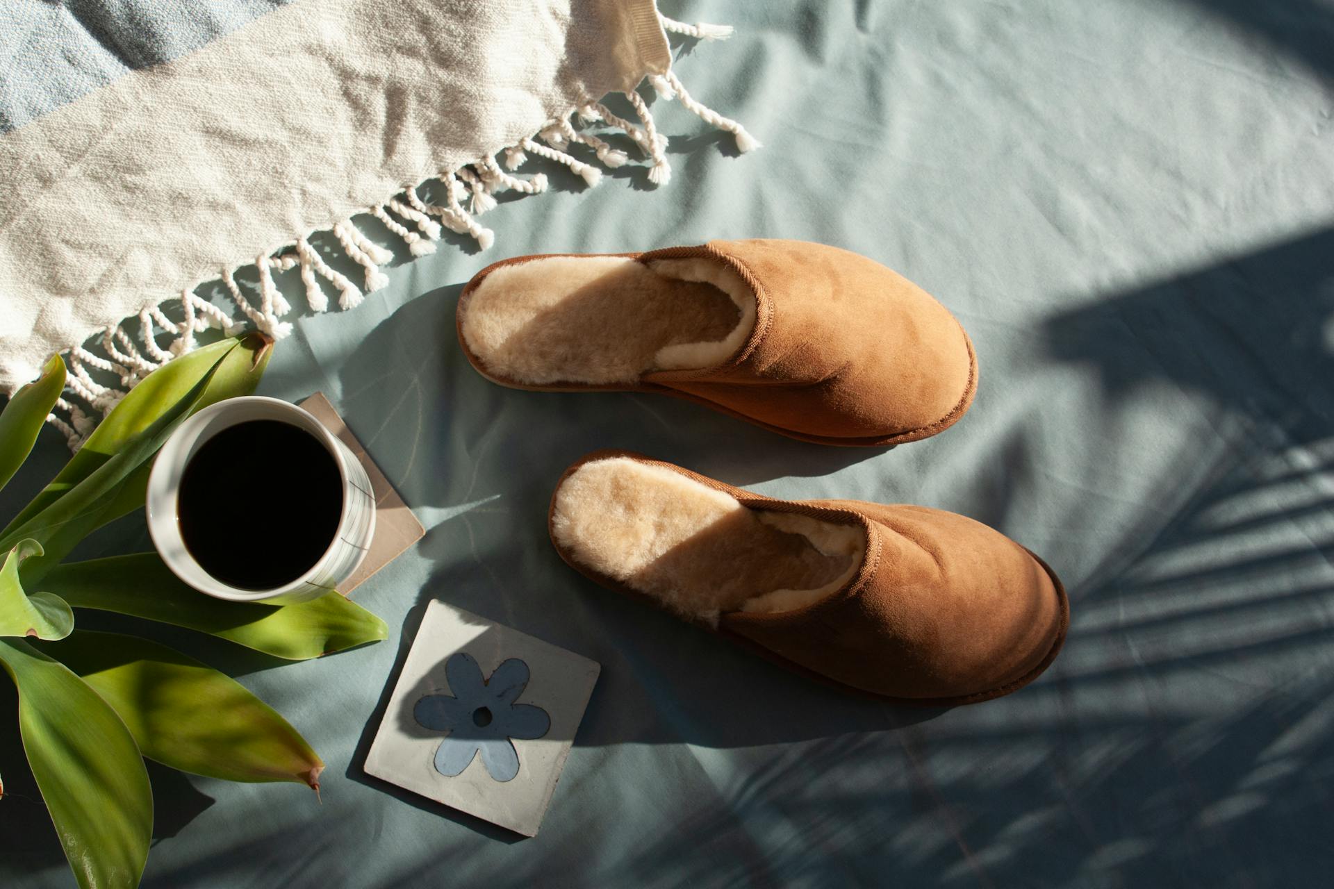 Ugg Shop -Ugg Shop pexels laarkstudio 30979665